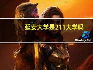 延安大学是211大学吗