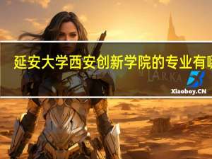 延安大学西安创新学院的专业有哪些