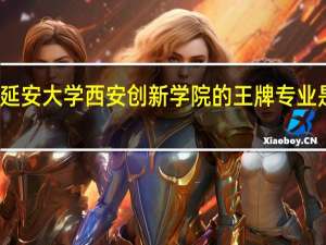 延安大学西安创新学院的王牌专业是什么