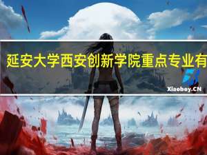 延安大学西安创新学院重点专业有哪些