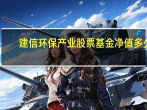 建信环保产业股票基金净值多少