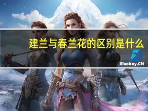 建兰与春兰花的区别是什么