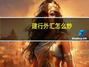 建行外汇怎么炒