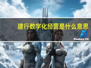 建行数字化经营是什么意思
