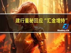 建行董秘回应“汇金增持”：此举释放“持续投入”的明确信号 有助于稳定投资者预期