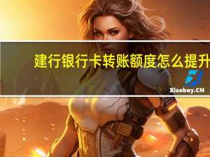 建行银行卡转账额度怎么提升（建行银行卡转账）
