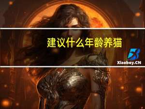 建议什么年龄养猫