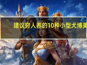 建议穷人养的10种小型犬博美