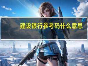 建设银行参考码什么意思