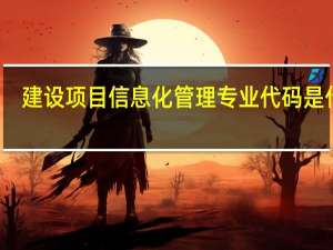 建设项目信息化管理专业代码是什么