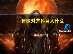 建账对方科目入什么