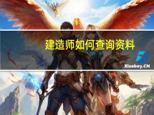 建造师如何查询资料