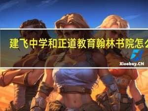 建飞中学和正道教育翰林书院怎么样
