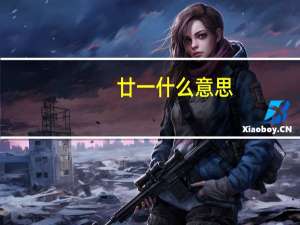 廿一什么意思