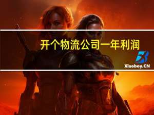 开个物流公司一年利润