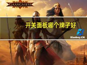 开关面板哪个牌子好