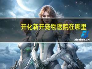 开化新开宠物医院在哪里