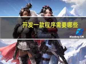 开发一款程序需要哪些