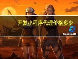 开发小程序代理价格多少