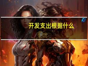 开发支出根据什么