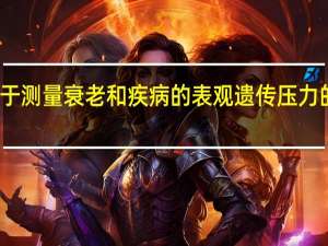 开发用于测量衰老和疾病的表观遗传压力的噪声晴雨表