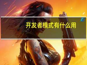 开发者模式有什么用