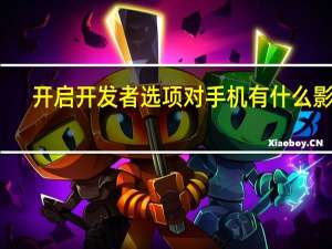 开启开发者选项对手机有什么影响