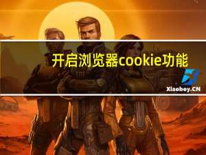 开启浏览器cookie功能（启用浏览器cookie功能）