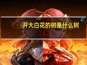开大白花的树是什么树