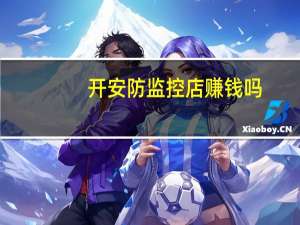 开安防监控店赚钱吗