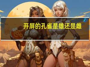 开屏的孔雀是雄还是雌