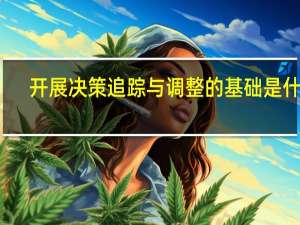 开展决策追踪与调整的基础是什么