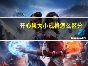 开心果大小规格怎么区分