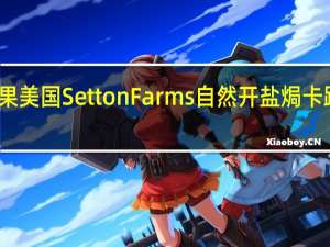 开心果 美国SettonFarms自然开盐焗卡路里是多少