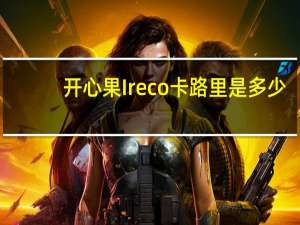 开心果 Ireco卡路里是多少