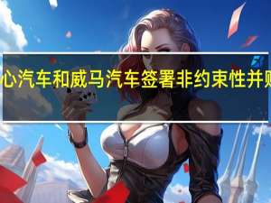 开心汽车和威马汽车签署非约束性并购意向书