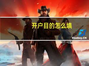 开户目的怎么填