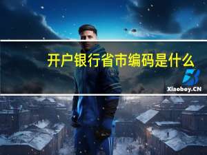 开户银行省市编码是什么（开户银行省市编码是什么意思）