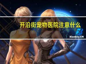 开沿街宠物医院注意什么