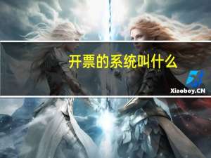 开票的系统叫什么