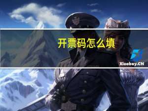 开票码怎么填