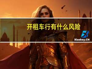 开租车行有什么风险