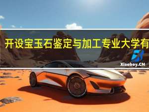 开设宝玉石鉴定与加工专业大学有哪些