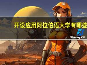 开设应用阿拉伯语大学有哪些