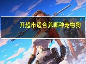 开超市适合养哪种宠物狗