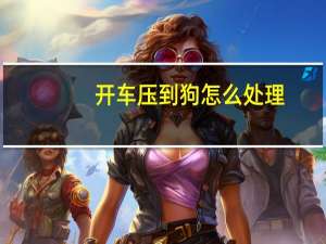 开车压到狗怎么处理