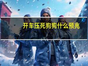 开车压死狗狗什么预兆