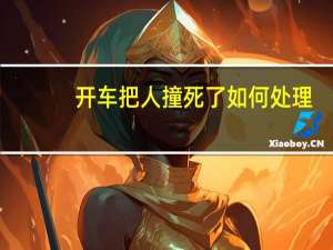 开车把人撞死了如何处理