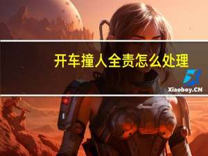 开车撞人全责怎么处理