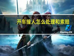开车撞人怎么处理和索赔